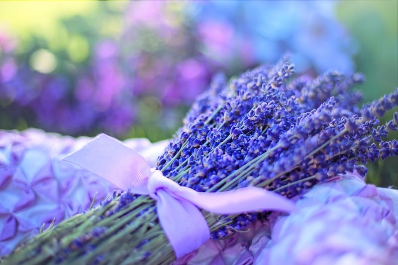 Aromatherapy Garden