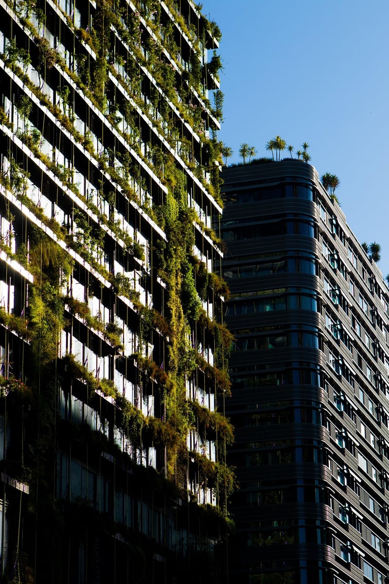 Sustainable Gardening Practices